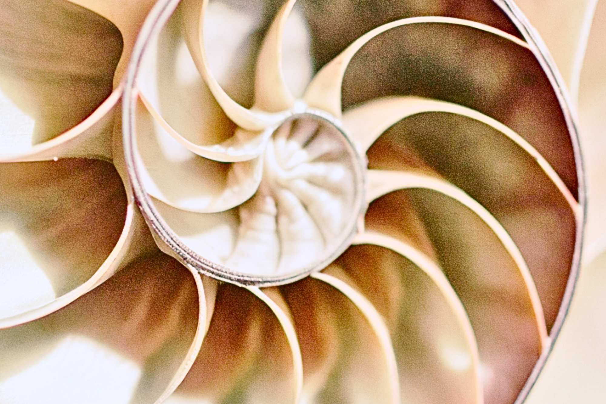 Heuristics in Thought Leadership: Simple Rules for Smarter Influence